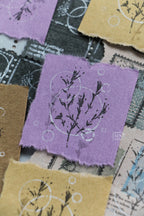 [PRE-ORDER] LCN - Bubble Background Stamp