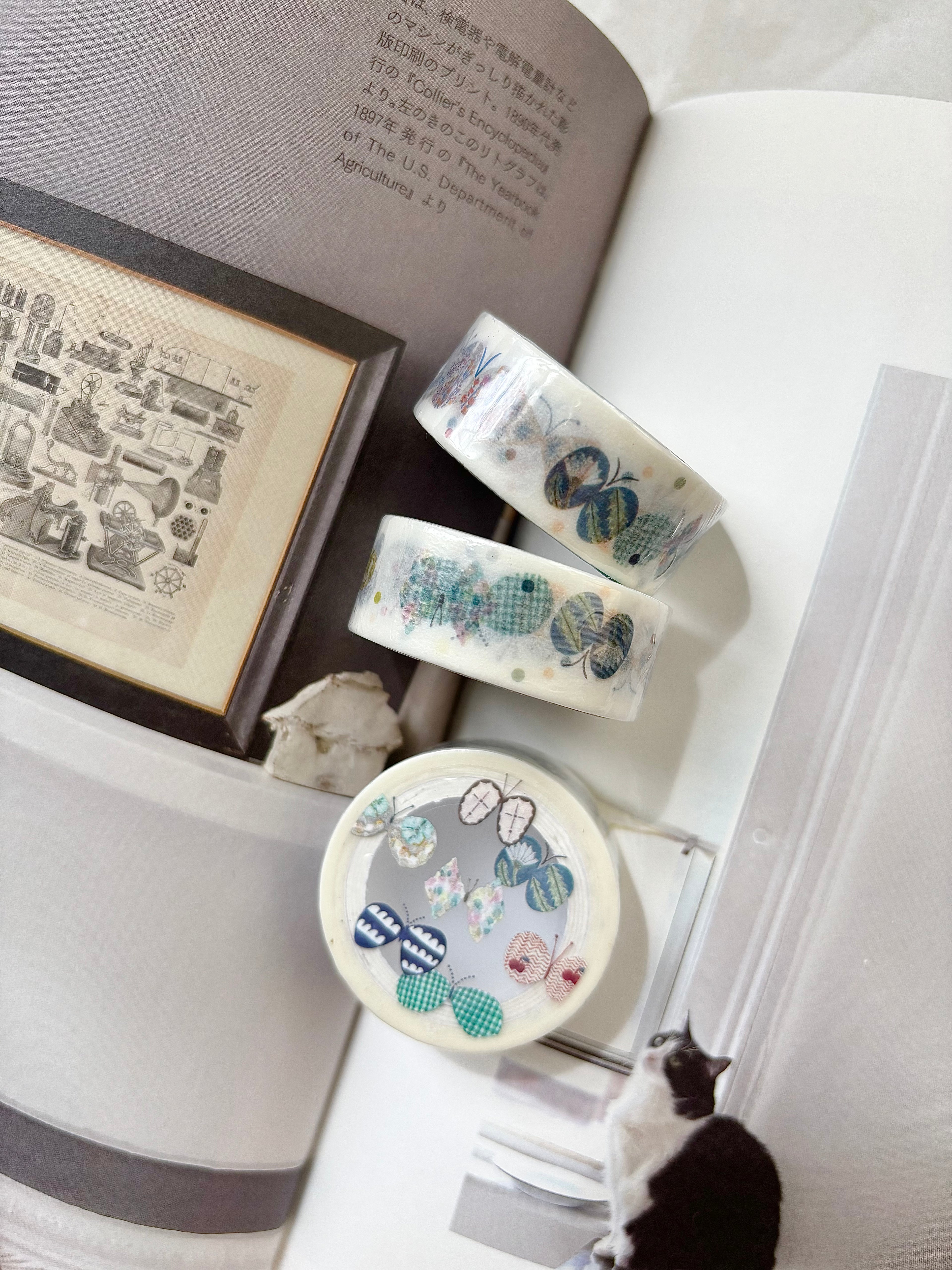 Pion - Butterfly Washi Tape (Kiss-Cut)