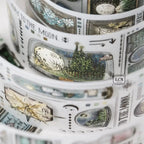 LCN - Pieces of the Universe Matte PET Tape