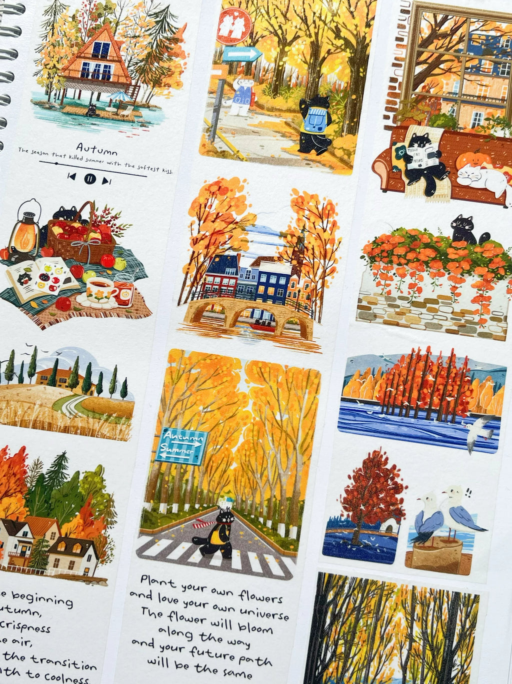 Xiami Studio - Autumn Illustrated Tape