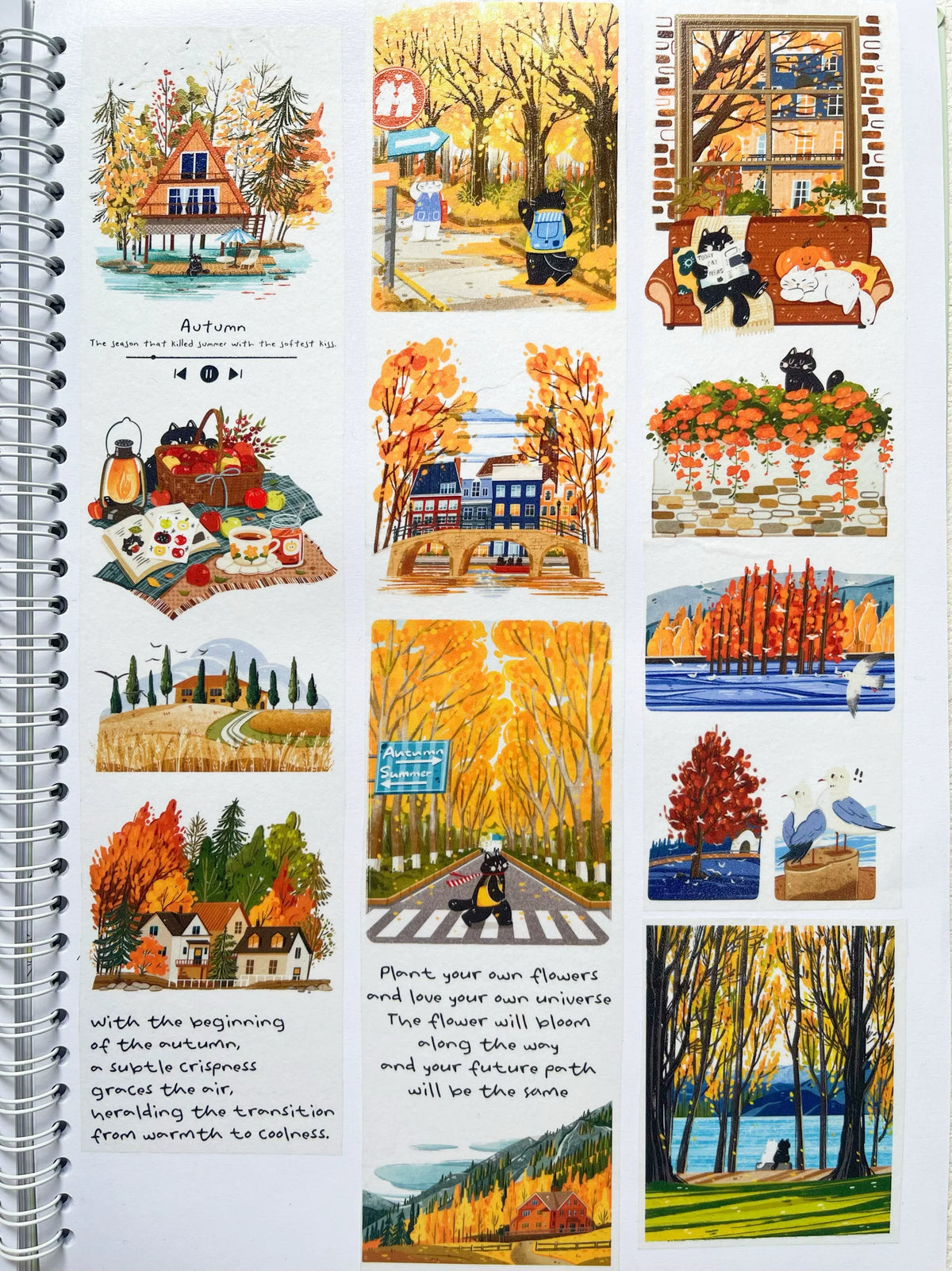 Xiami Studio - Autumn Illustrated Tape