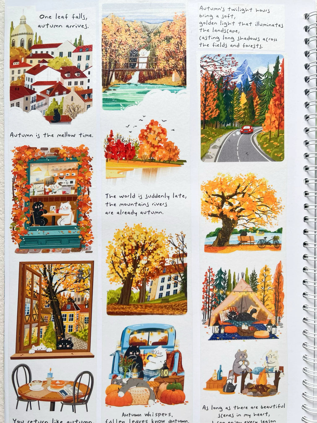 Xiami Studio - Autumn Illustrated Tape