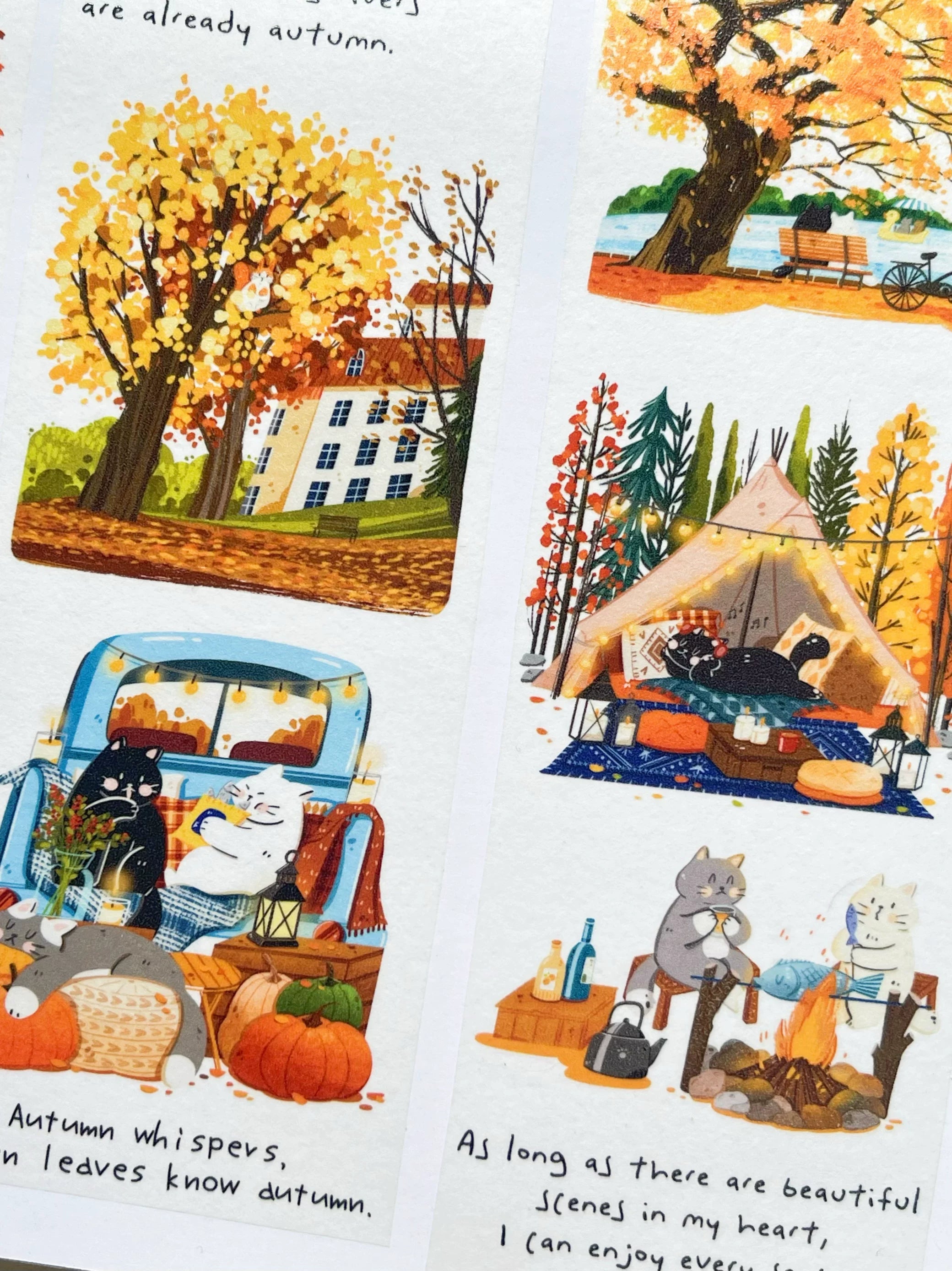 Xiami Studio - Autumn Illustrated Tape