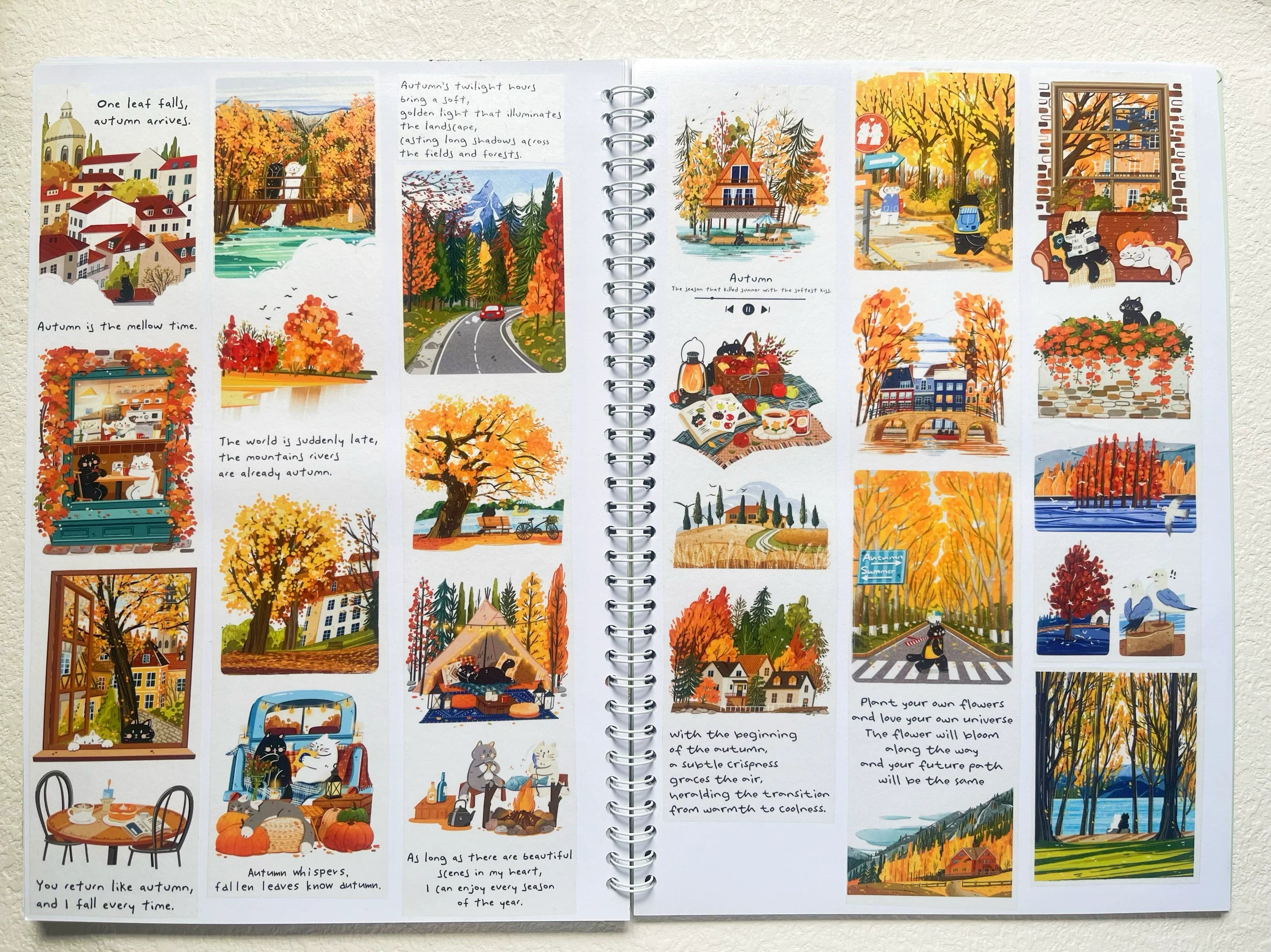 Xiami Studio - Autumn Illustrated Tape