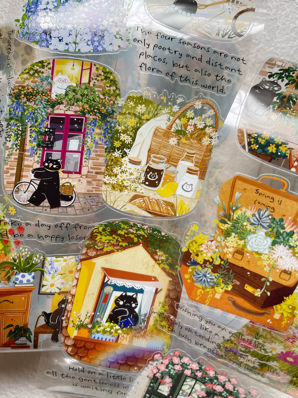 Xiami Studio - Spring Fields in Bloom Tape