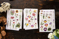 OURS - Flowers Sticker Pack