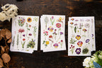 OURS - Flowers Sticker Pack