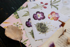 OURS - Flowers Sticker Pack