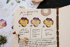 OURS - Flowers Sticker Pack