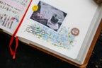 OURS - Bright Bloom Transfer Sticker Sheet