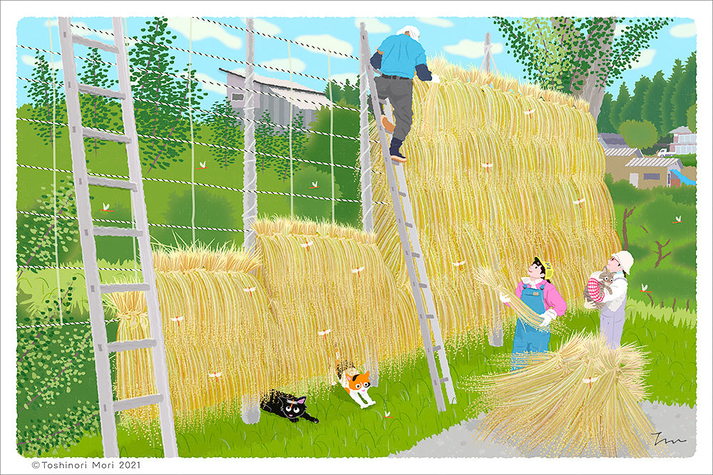 TabiNeko - Autumn Sun Drying Postcard