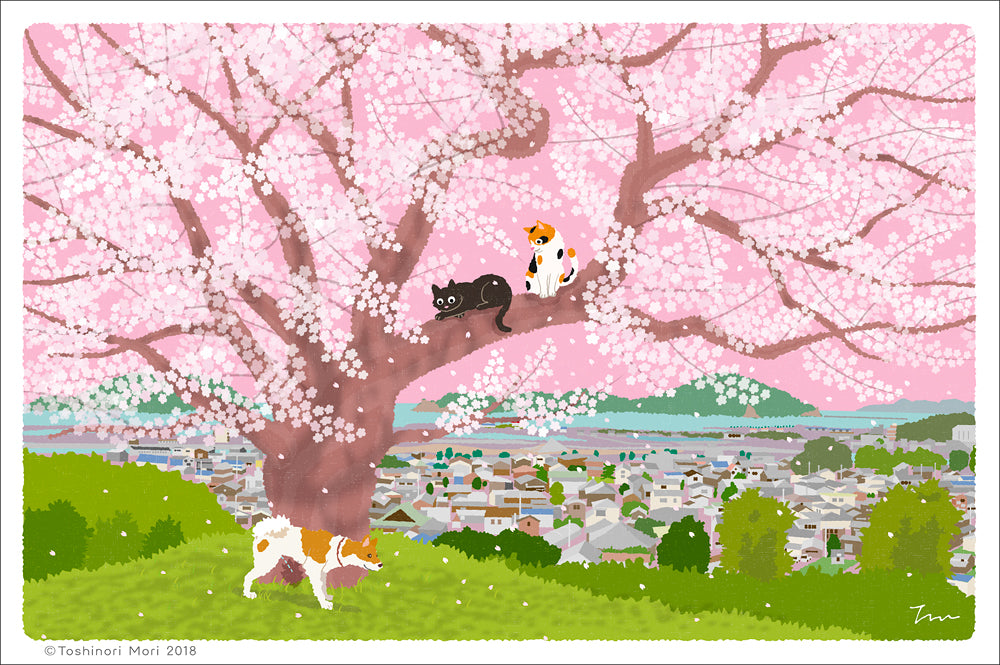 TabiNeko - Cherry Blossoms on the Hill Postcard