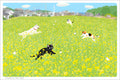 TabiNeko - Canola Flower Dance Postcard