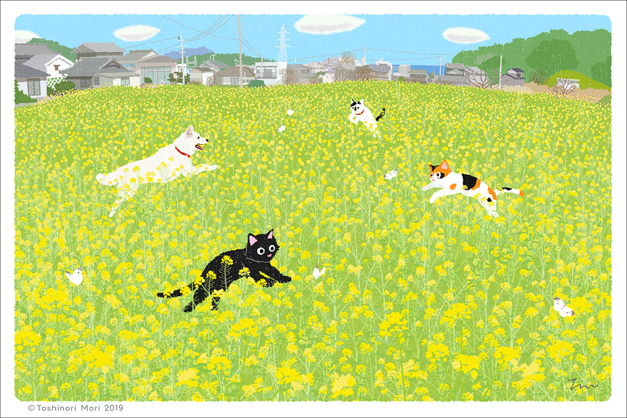 TabiNeko - Canola Flower Dance Postcard