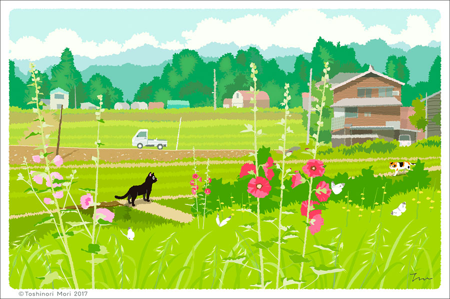 TabiNeko - Early Summer Light Postcard