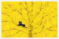 TabiNeko - Hidden in the Leaves Postcard