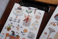 [Pre-Order] IvySnow - Indigo Transfer Stickers