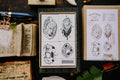 OURS - Central Post-A Stamp Set