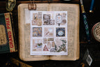 OURS - Collection of Museum Stamp Sticker Sheet