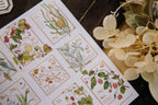 OURS - Wild Wreath 2 Stamp Sticker Sheet