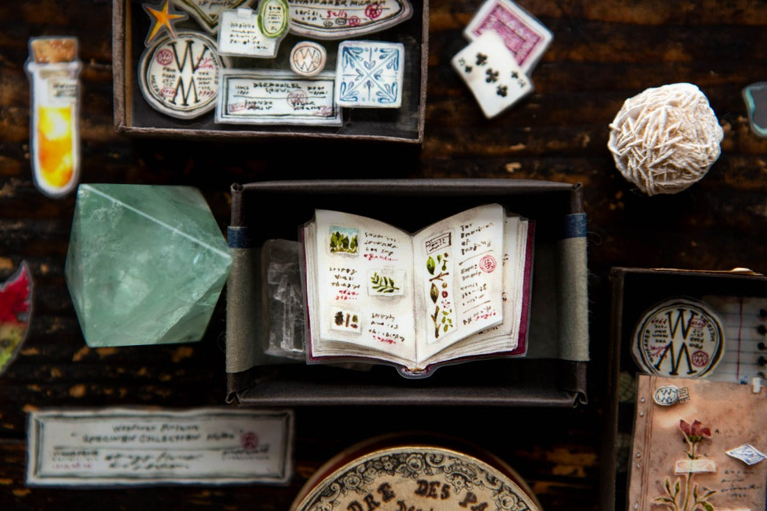 OURS - Desk of Botanist PET Tape