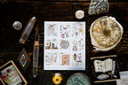 OURS - Desk of Botanist Stamp Sticker Sheet