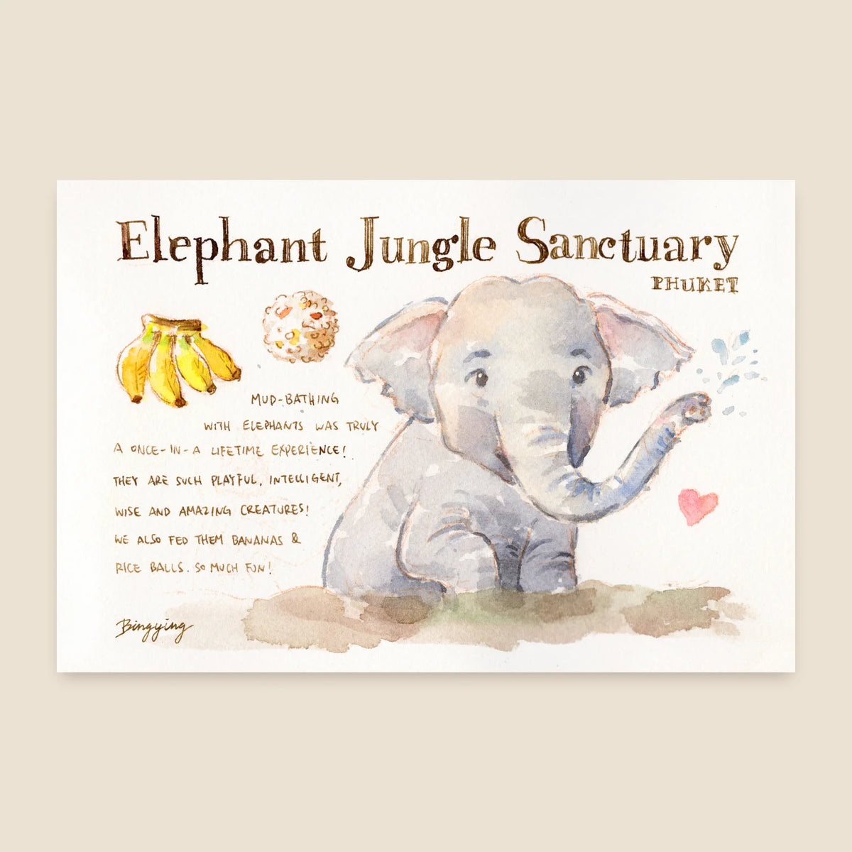 Bingying - Elephant in Phuket, Thailand