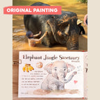 Bingying - Elephant in Phuket, Thailand