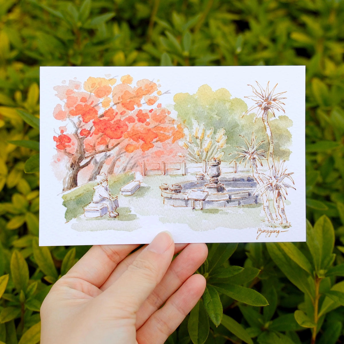 Bingying - Fall in Tokyo - Maple Trees in Koishikawa Botanical Garden