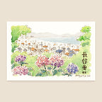 Bingying - Hydrangea Flowers in Kamakura, Japan