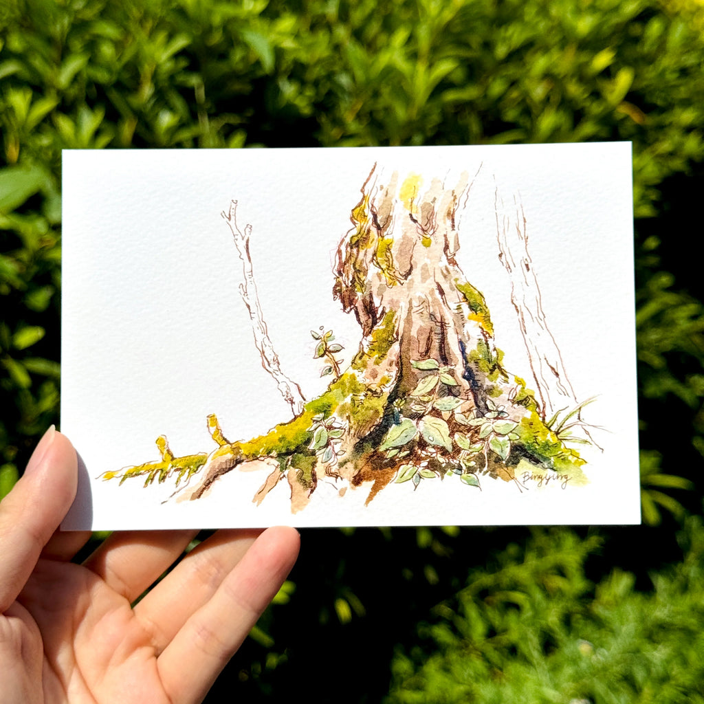 Bingying - Moss Forest in Nagano, Japan
