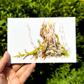 Bingying - Moss Forest in Nagano, Japan