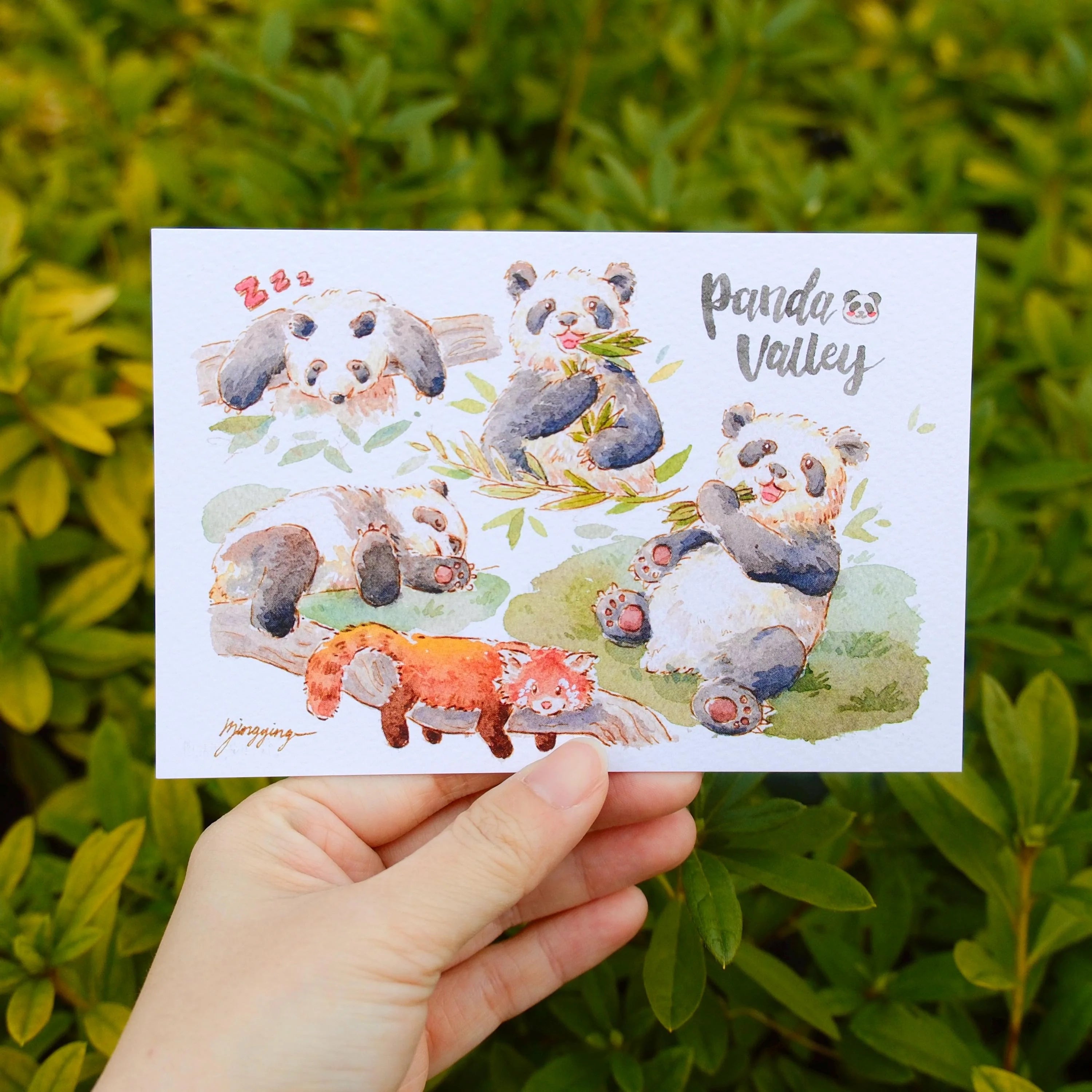 Bingying - Pandas Chillin'