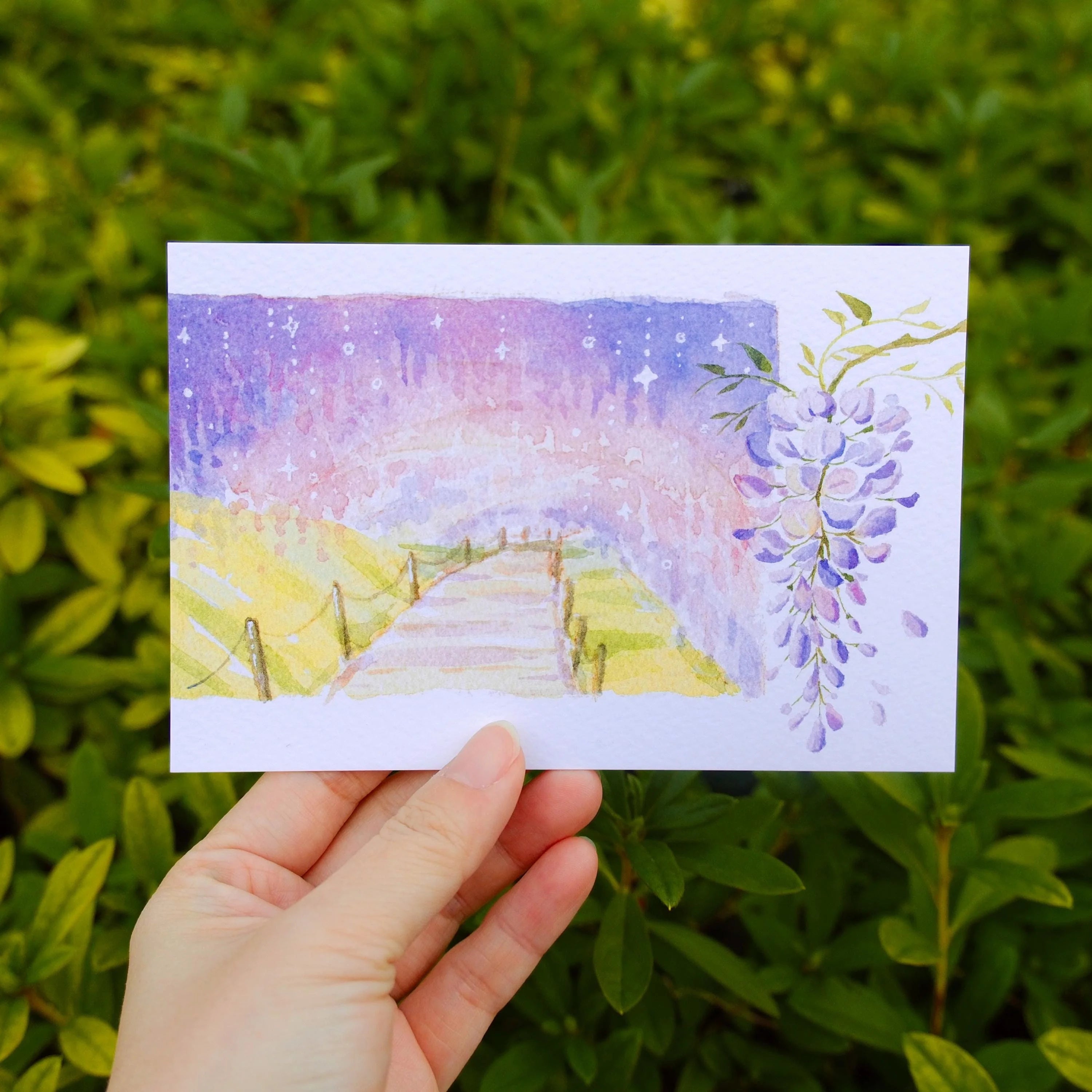 Bingying - Wisteria Garden in Kyushu, Japan