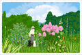 TabiNeko - Summer Day Garden Postcard