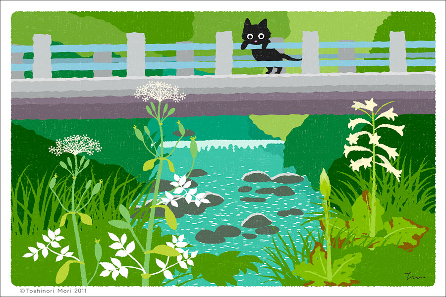TabiNeko - Blooming under the bridge Postcard