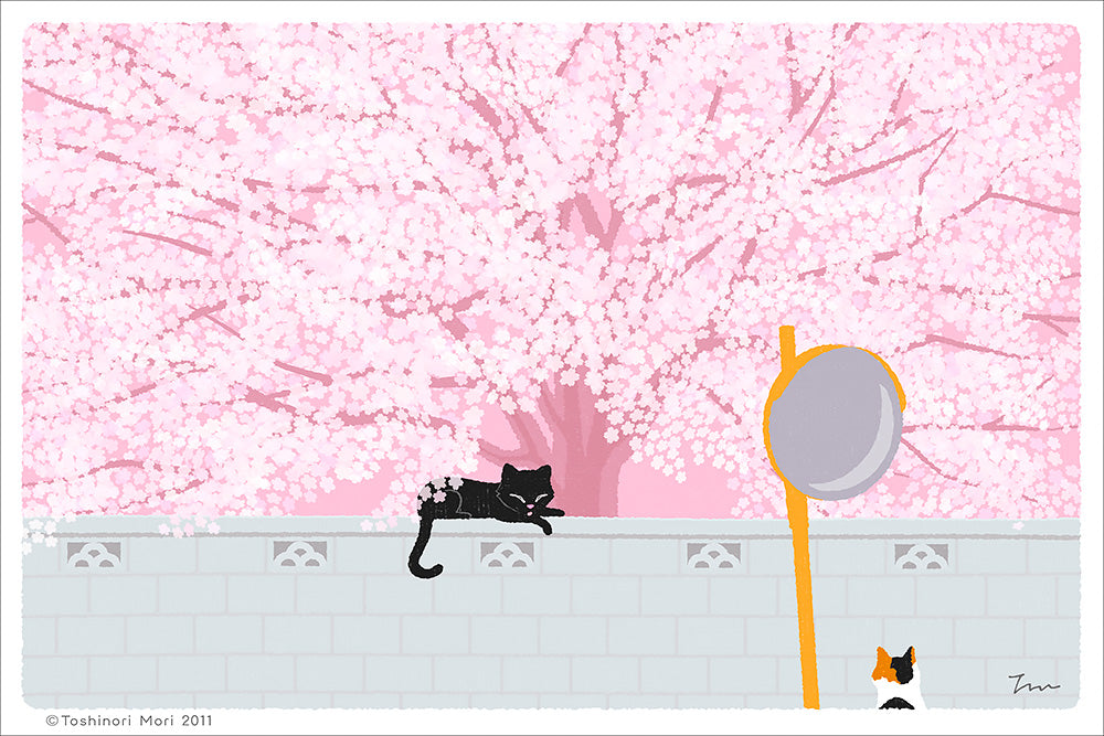 TabiNeko - Under the Cherry Tree Postcard