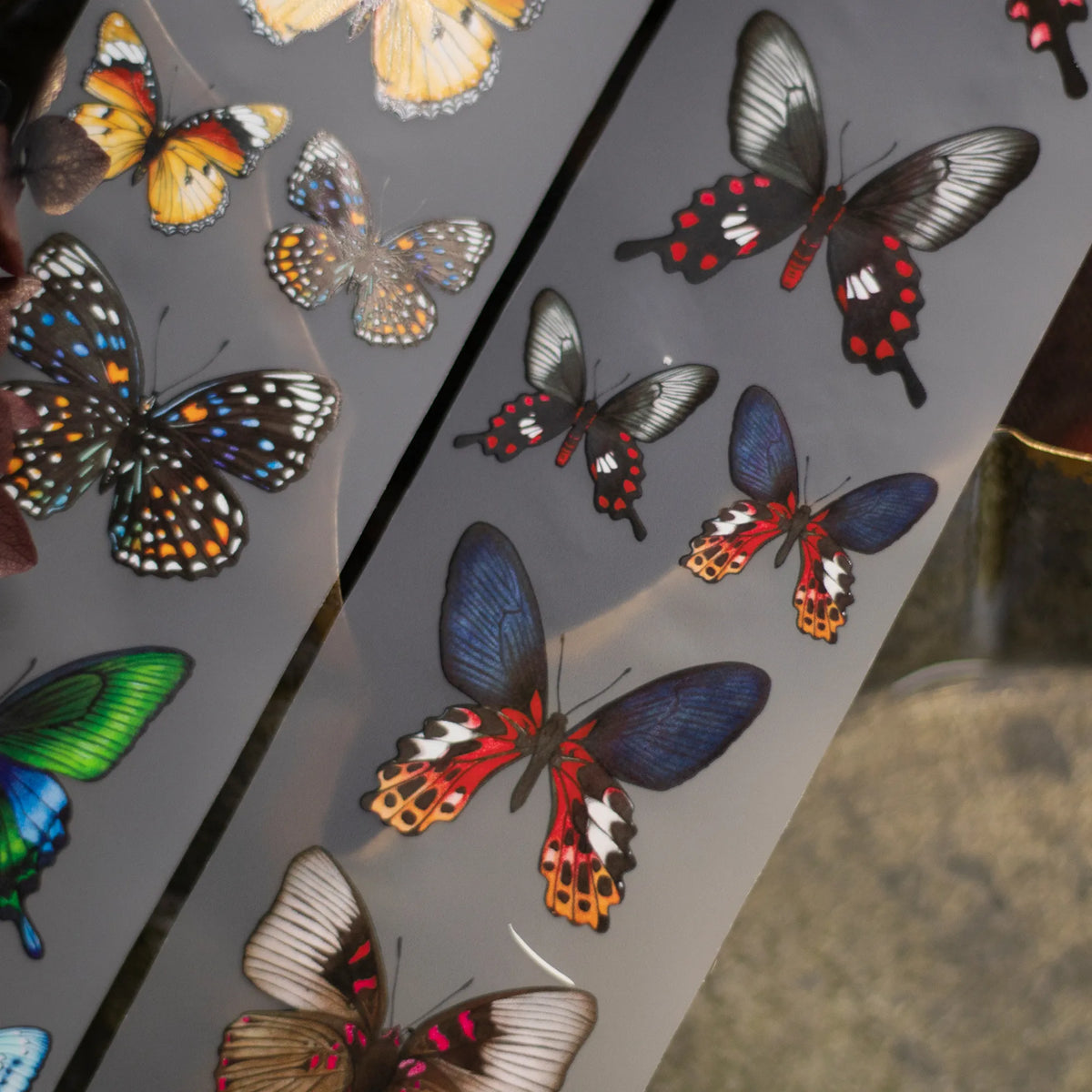 Loi Design - Vintage Butterfly Matte PET Tape