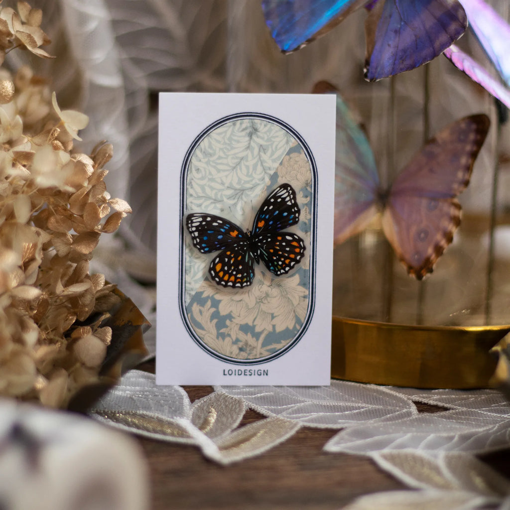 Loi Design - Vintage Butterfly Matte PET Tape