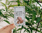 La Dolce Vita - Write to You Collage Cards